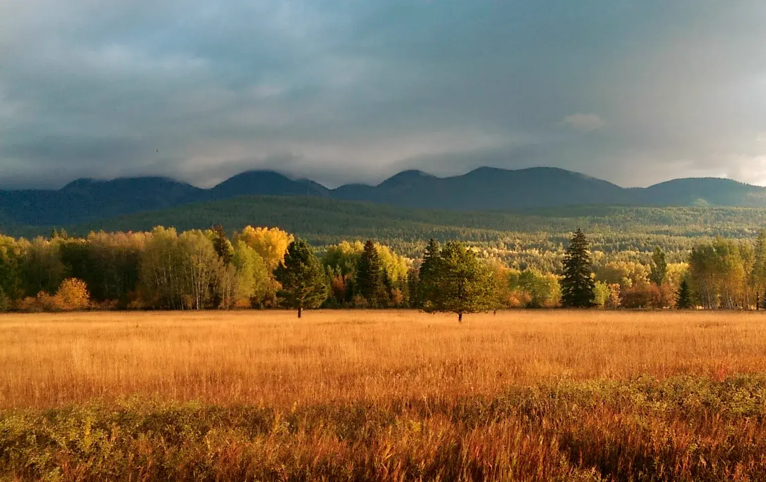 Autumn meadow and mountain landscape in the Whitefish Fire Service Area
