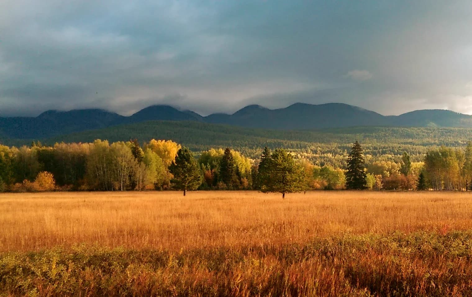 Autumn meadow and mountain landscape in the Whitefish Fire Service Area